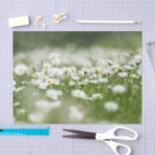 Daisy Meadow Tissuepapier (Craft)