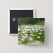 Daisy Meadow Vierkante Button 5,1 Cm (Voorkant /achterkant)