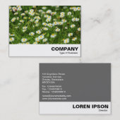 Daisy Meadow Visitekaartje (Voorkant / Achterkant)