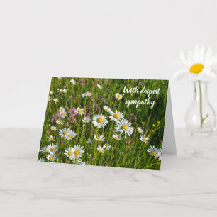Daisy Meadows - Met diepste medeleven Kaart