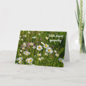 Daisy Meadows  -  Met diepste medeleven Kaart (Voorkant)
