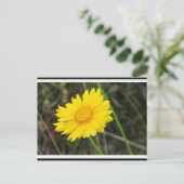 Daisy met Bee Briefkaart postcrossing (Staand voorkant)