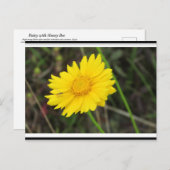 Daisy met Bee Briefkaart postcrossing (Voorkant / Achterkant)