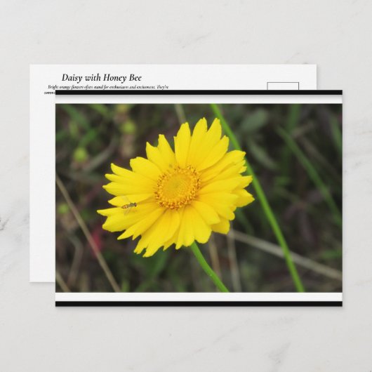 Daisy met Bee Briefkaart postcrossing (Voorkant / Achterkant)