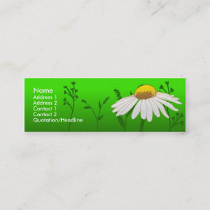 Daisy Mini Visitekaartje
