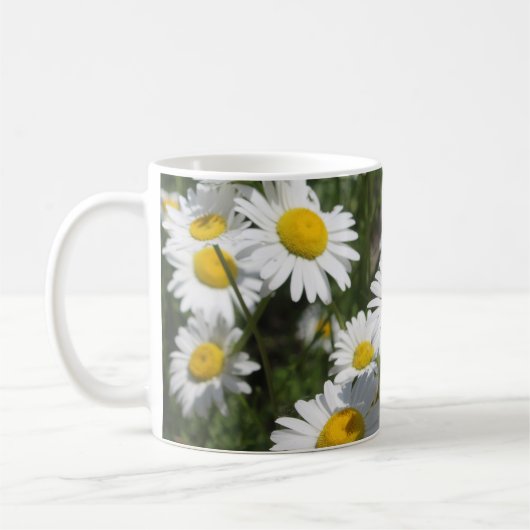 Daisy mok (Links)