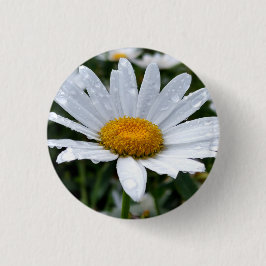 Daisy Morning Dew Ronde Button 3,2 Cm