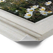 Daisy Mountain White Lijst Window Illusion Poster (Hoek)