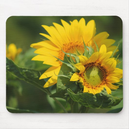 Daisy Mousepad - HAMbyWhiteGlove Muismat (Voorkant)