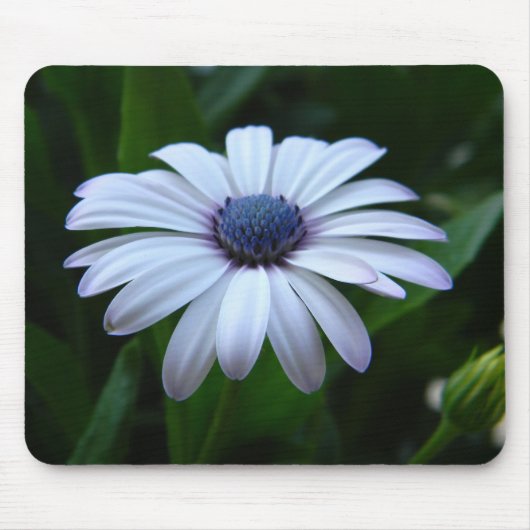 Daisy Mousepad Muismat (Voorkant)