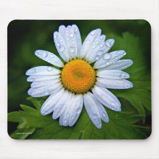 Daisy Mousepad Muismat (Voorkant)