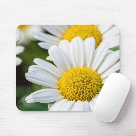 Daisy Muismat (Met muis)