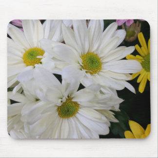 Daisy Muismat