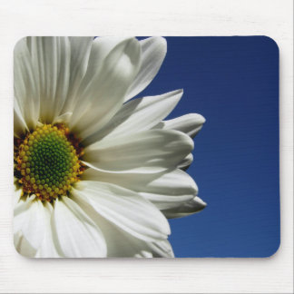 Daisy Muismat