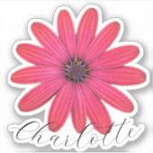Daisy naam sticker (Voorkant)