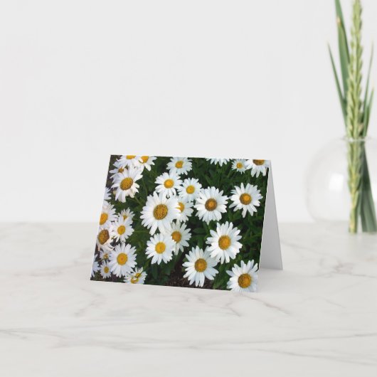Daisy Note Card Kaart (Voorkant)