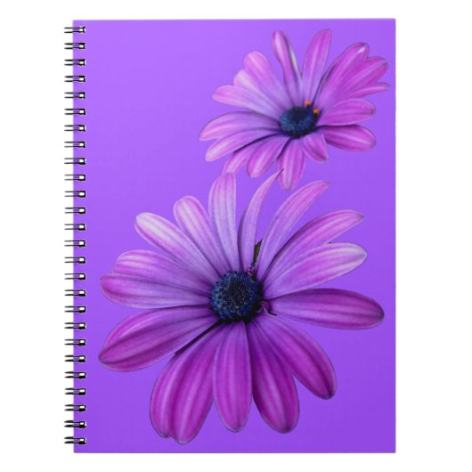 Daisy Notebook Paarse Daisy Journals cadeautjes Notitieboek (Voorkant)