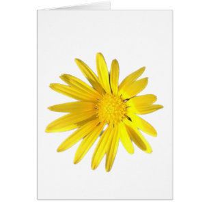 Daisy Notitie - Blanco voor je personalisatie