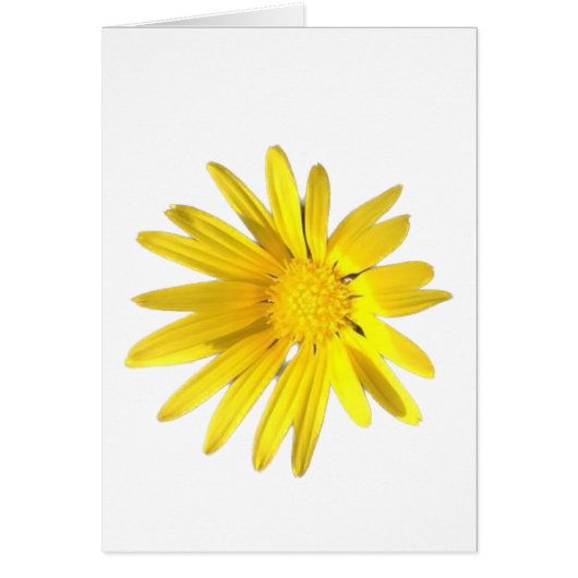 Daisy Notitie - Blanco voor je personalisatie (Voorkant)