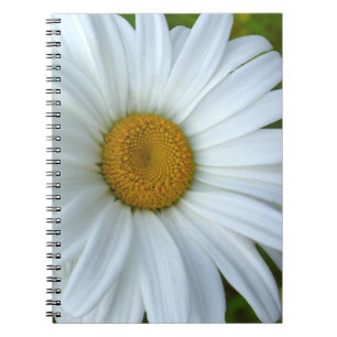 Daisy Notitieboek Classic Daisy Journals Flower Gi