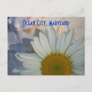 Daisy Ocean City Briefkaart