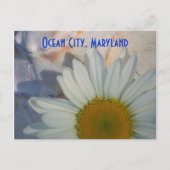 Daisy Ocean City Briefkaart (Voorkant)