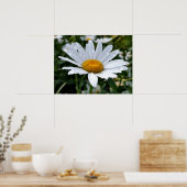 Daisy Ochtenddauw Poster (Keuken)