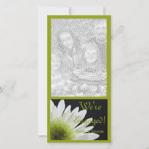 Daisy on Black Marriage Verloving Announement Aankondiging