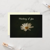 Daisy on Dark Background Photo Blank Kaart (Voorkant / Achterkant in situ)