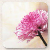 Daisy Onderzetter (Voorkant)