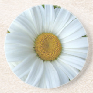 Daisy Onderzetters Wildflower Daisy Decor & Gifts