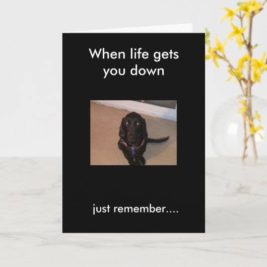 Daisy, onthoud...., Als het leven je naar beneden  Kaart (Gele Bloem)