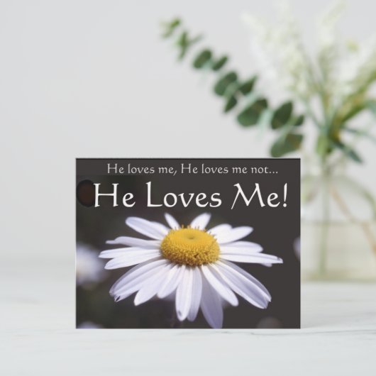 Daisy op zwarte achtergrond briefkaart (Staand voorkant)