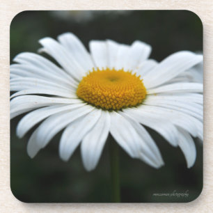 Daisy - Opschieten Bier Onderzetter