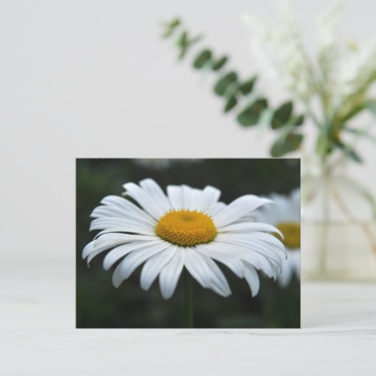 Daisy - Opschieten Briefkaart (Staand voorkant)