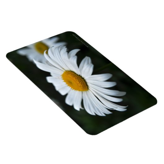 Daisy - Opschieten Magneet (Rechterzijde)