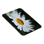 Daisy - Opschieten Magneet (Rechterzijde)
