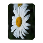 Daisy - Opschieten Magneet (Verticaal)