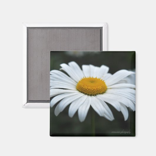 Daisy - Opschieten Magneet (Voorkant / Achterkant)