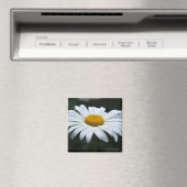 Daisy - Opschieten Magneet (Insitu (Vaatwasser))