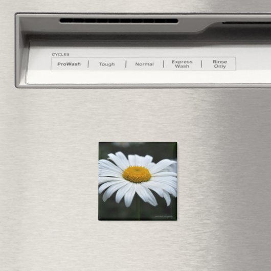 Daisy - Opschieten Magneet (Insitu (Vaatwasser))