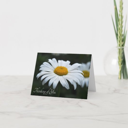 Daisy - Opschieten Notitiekaartje (Voorkant)