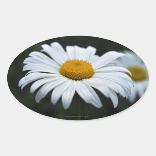 Daisy - Opschieten Ovale Sticker (Voorkant)