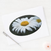 Daisy - Opschieten Ovale Sticker (Envelop)
