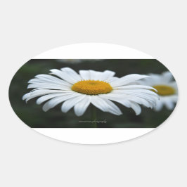 Daisy - Opschieten Ovale Sticker