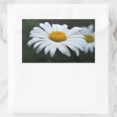 Daisy - Opschieten Rechthoekige Sticker (Tas)