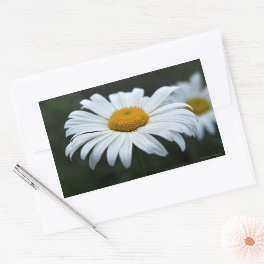 Daisy - Opschieten Rechthoekige Sticker (Envelop)