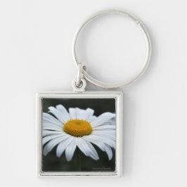 Daisy - Opschieten Sleutelhanger