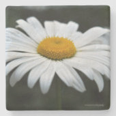 Daisy - Opschieten Stenen Onderzetter (Voorkant)