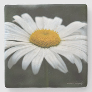 Daisy - Opschieten Stenen Onderzetter